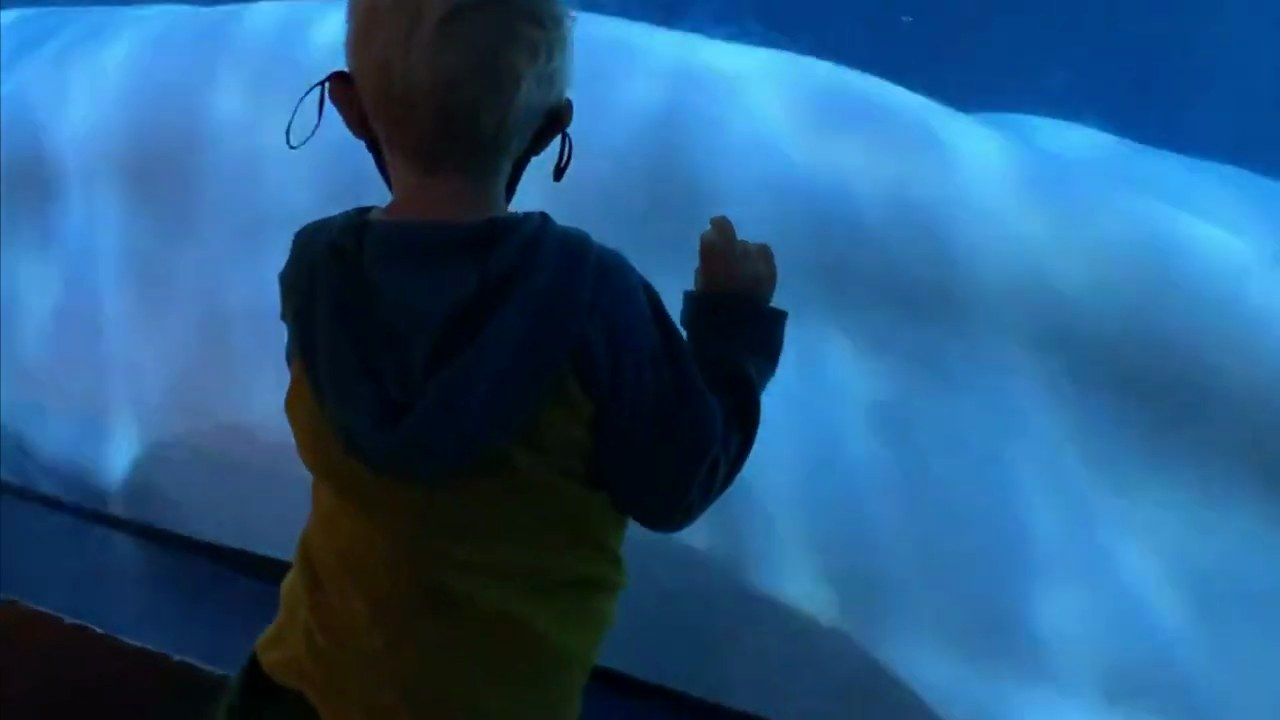 Still from the trip video at 2:25