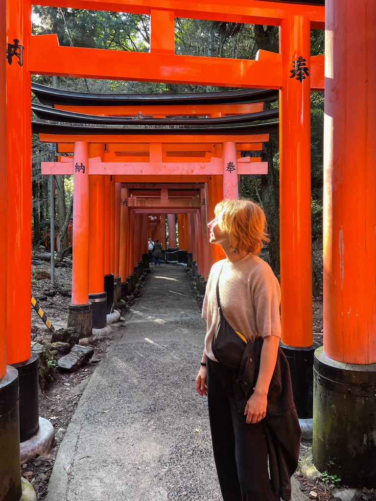 Empty vermillion torii gate tunnel at Fushimi Inari shrine in Kyoto at dawn