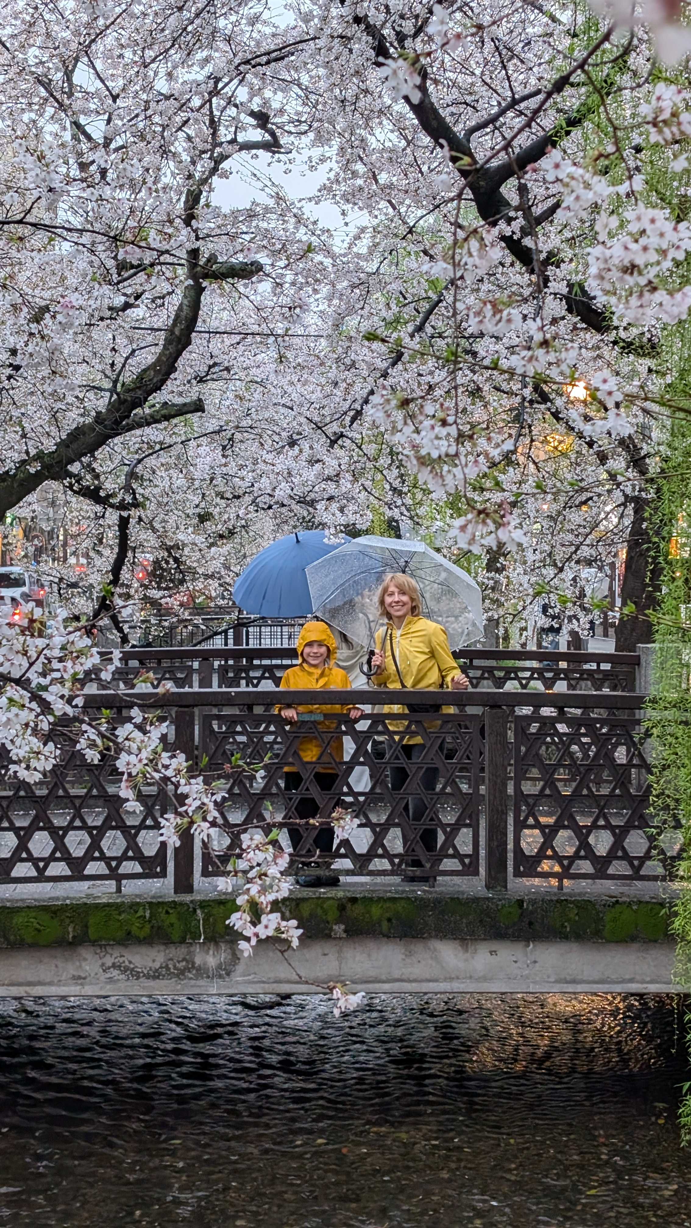 Kinkaku-ji Golden Pavilion reflected in a still pond in Kyoto